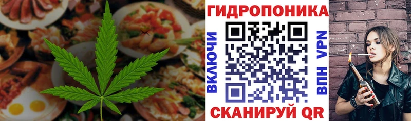 Купить где  Кедровый  Canna-Cookies конопля 