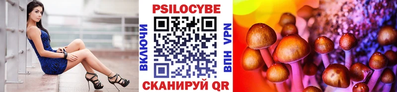 Псилоцибиновые грибы прущие грибы  Купить закладки  Кедровый 